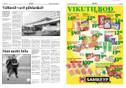 Síða 11