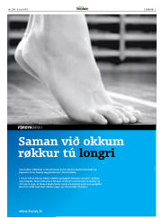 Síða 3