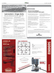 Síða 46