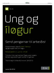 Síða 33