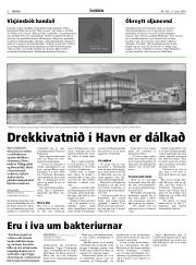 Síða 8