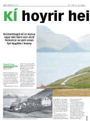 Síða 22