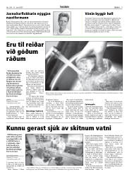 Síða 9