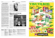 Síða 2