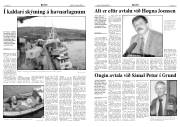 Síða 3