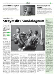 Síða 29