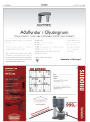 Síða 38