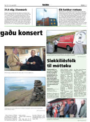 Síða 17