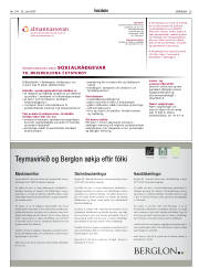Síða 25