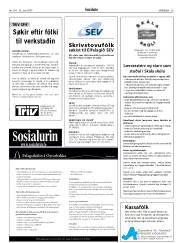 Síða 29