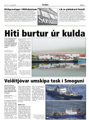 Síða 7