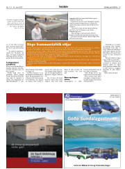 Síða 29