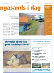 Síða 25