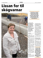 Síða 28