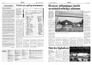 Síða 3