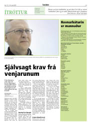Síða 29