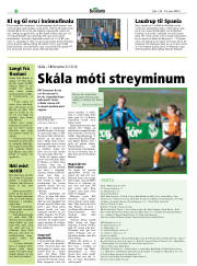 Síða 30