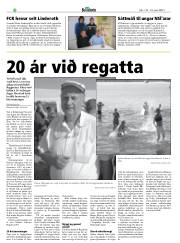 Síða 32