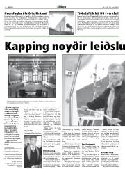 Síða 20