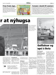 Síða 21