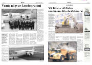 Síða 8