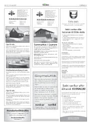 Síða 43