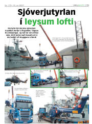 Síða 15