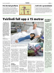Síða 5