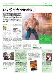 Síða 17