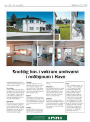 Síða 19