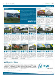 Síða 21