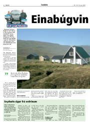 Síða 22