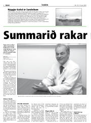 Síða 8