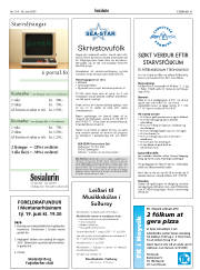 Síða 41