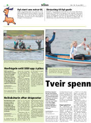 Síða 22