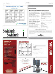 Síða 29