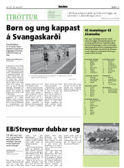 Síða 17