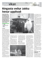 Síða 19
