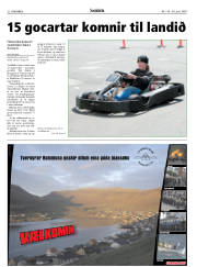 Síða 22