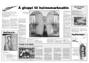 Síða 8