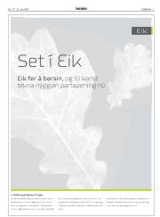 Síða 3