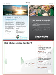Síða 5