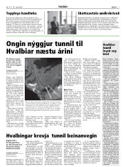 Síða 7