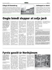 Síða 17