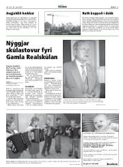 Síða 21
