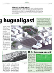 Síða 25