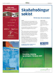 Síða 29