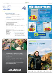 Síða 33