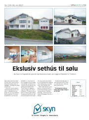 Síða 19
