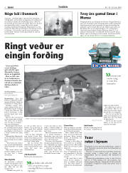 Síða 8